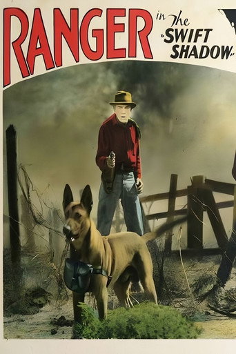 Póster de The Swift Shadow