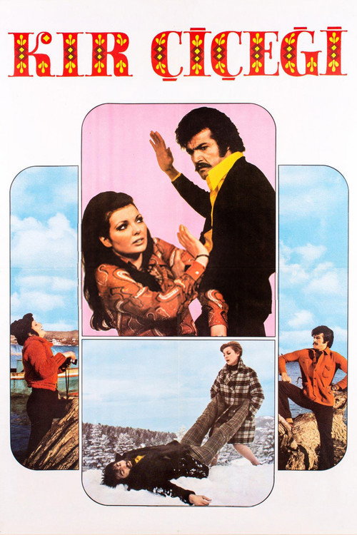 Póster de Kır Çiçeği