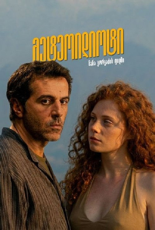Póster de მეტეოიდიოტი