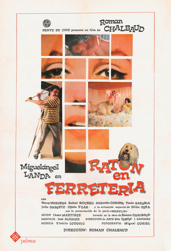 Póster de Ratón en Ferretería