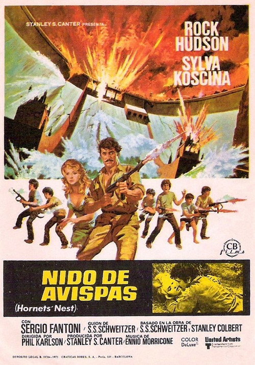 Póster de Hornets' Nest