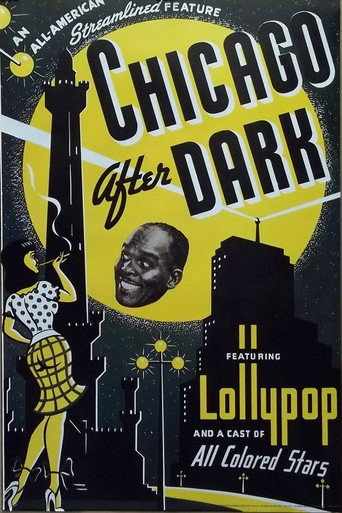 Póster de Chicago After Dark