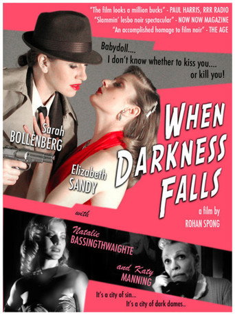 Póster de When Darkness Falls