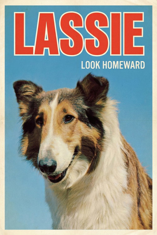 Póster de Look Homeward