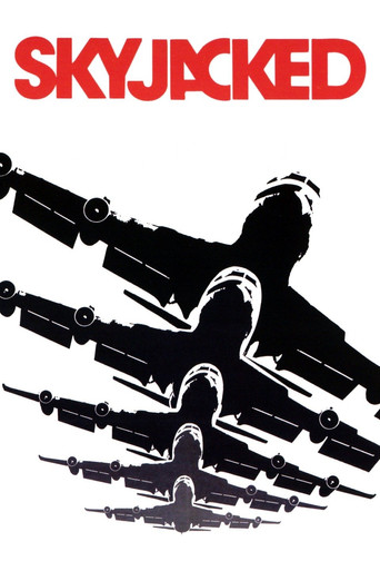 Póster de Skyjacked