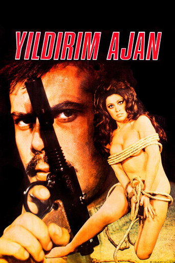 Póster de Yıldırım Ajan