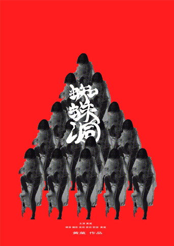 Póster de 蜘蛛洞