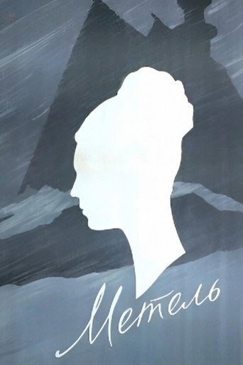 Póster de Метель