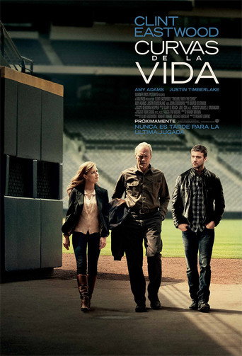Póster de Curvas de la vida