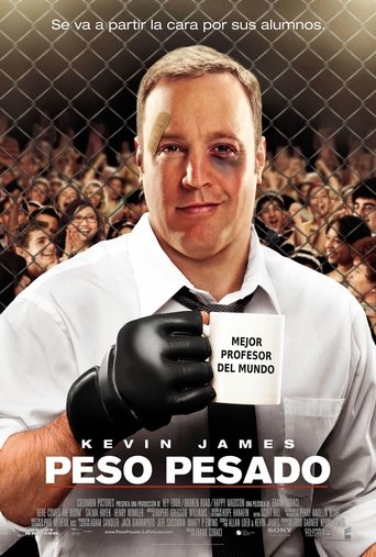 Póster de El maestro luchador