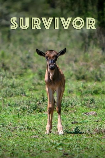 Póster de Survivor