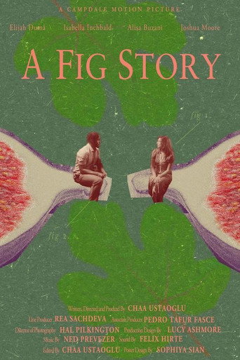 Póster de A Fig Story