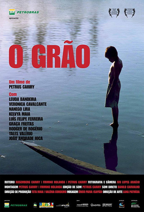 Póster de O Grão