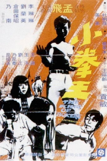 Póster de 小拳王