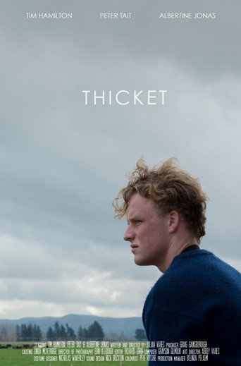 Póster de Thicket