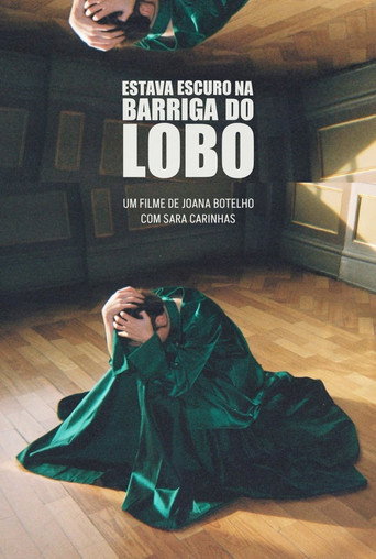 Póster de Estava Escuro na Barriga do Lobo
