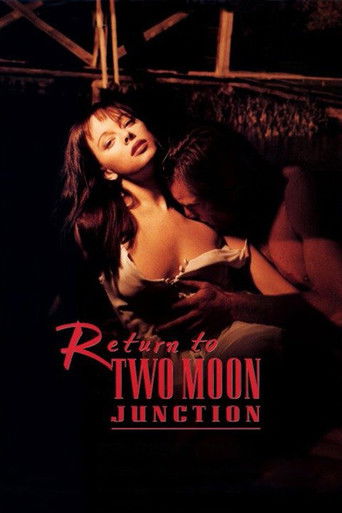 Póster de Return to Two Moon Junction