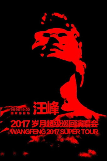 Póster de 汪峰 岁月巡回演唱会