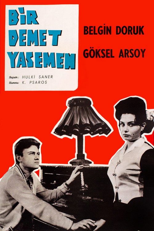Póster de Bir Demet Yasemen