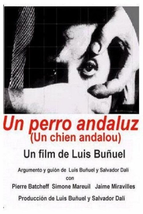 Póster de Un chien andalou