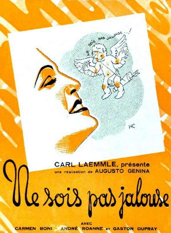 Póster de Ne sois pas jalouse