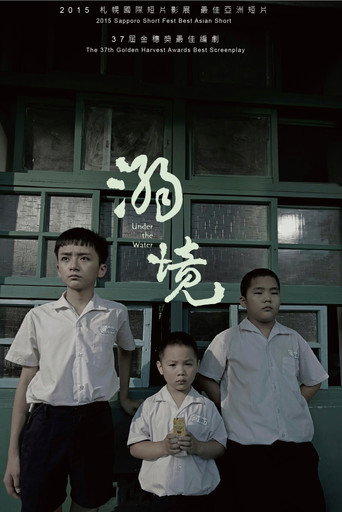 Póster de 溺境