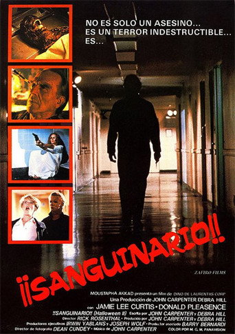 Póster de Halloween II