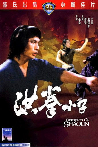 Póster de 洪拳小子
