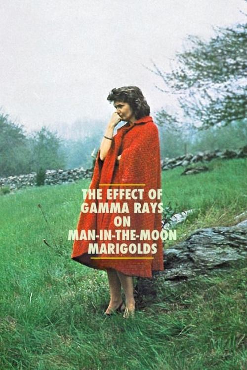 Póster de The Effect of Gamma Rays on Man-in-the-Moon Marigolds