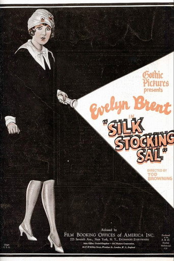 Póster de Silk Stocking Sal