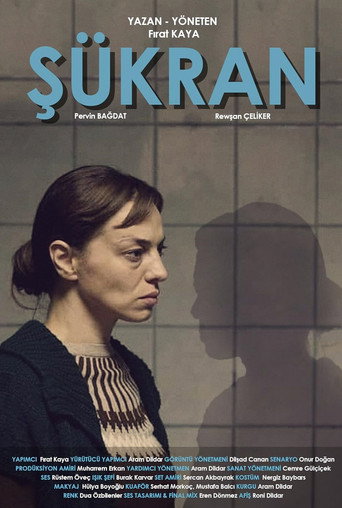 Póster de Şükran