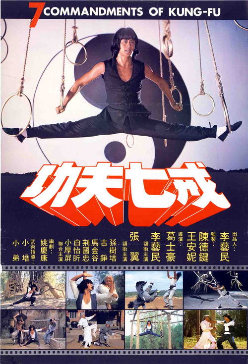 Póster de 功夫七戒