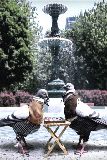 Póster de Saint-Louis Square