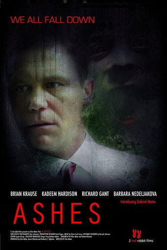 Póster de Ashes