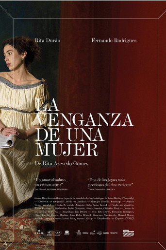 Póster de A Vingança de Uma Mulher