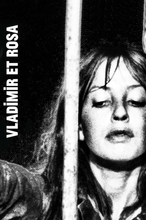 Póster de Vladimir et Rosa