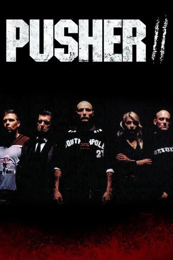 Póster de Pusher II