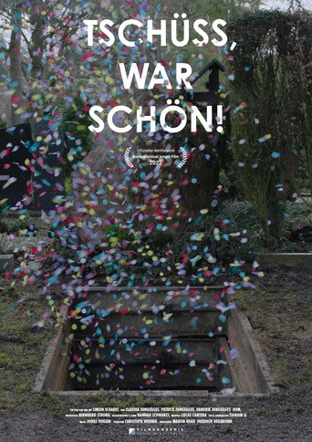 Póster de Tschüss, war schön!