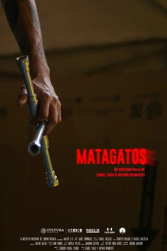 Póster de Matagatos