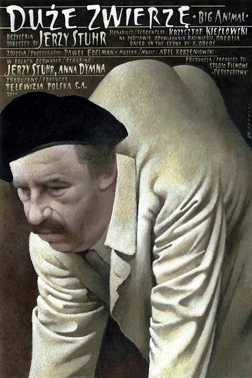 Póster de Duże zwierzę