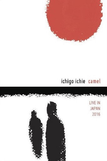 Póster de Camel: Ichigo Ichie - Live in Japan 2016
