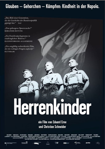 Póster de Herrenkinder