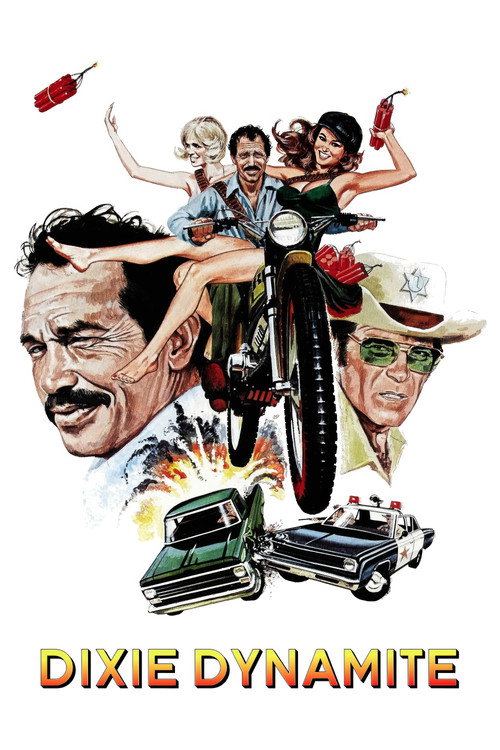 Póster de Dixie Dynamite