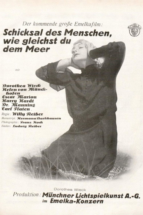 Póster de Sturmflut