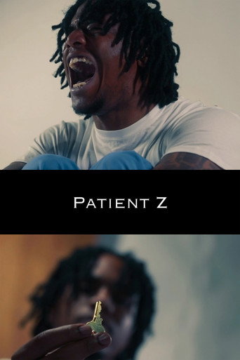 Póster de Patient Z