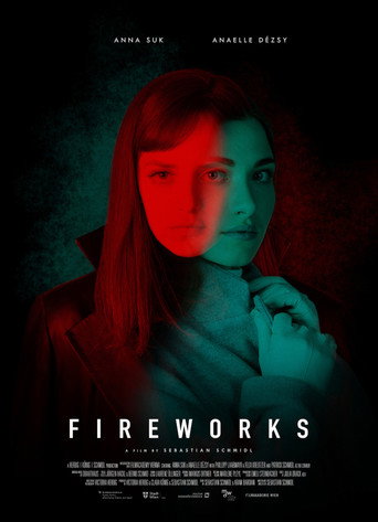 Póster de Fireworks
