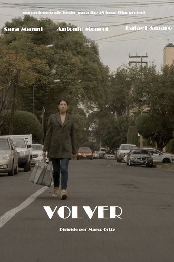 Póster de Volver