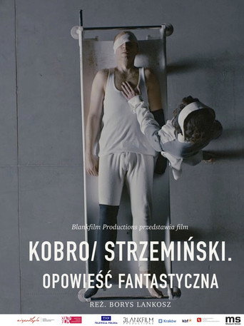 Póster de Kobro / Strzemiński. Opowieść fantastyczna