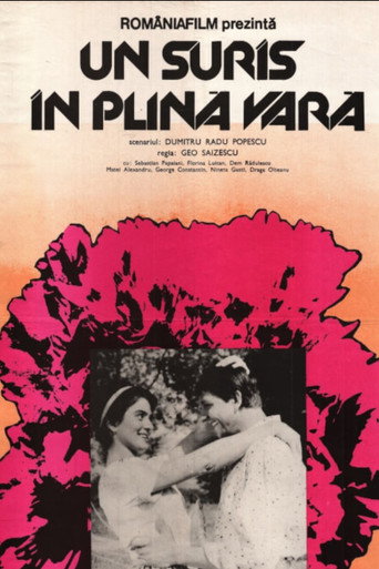 Póster de Un surâs în plină vară