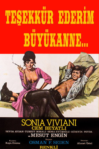 Póster de Teşekkür Ederim Büyükanne